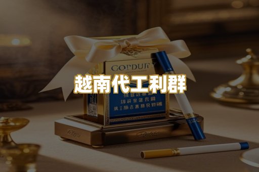 福建云霄精仿